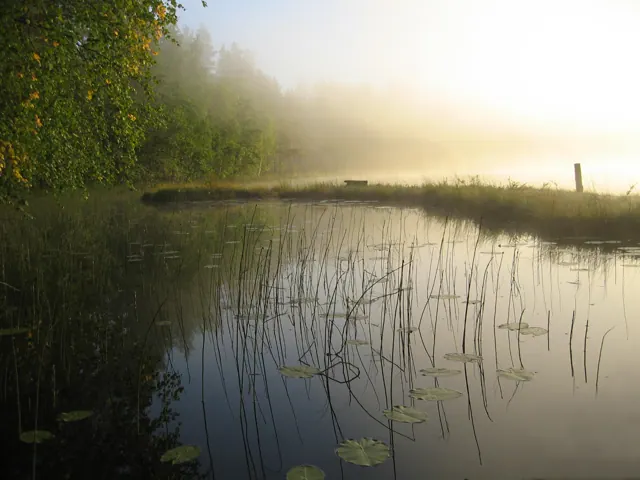 Nebel über dem See