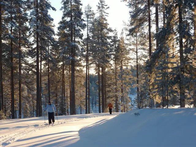 Langlauf durch die Winterlandschaft