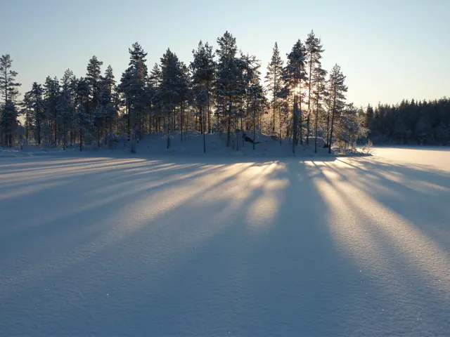Licht und Schatten im Schnee