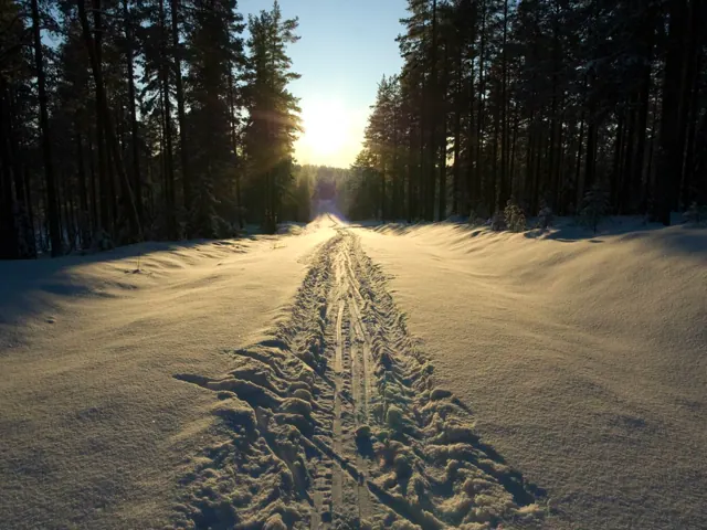 Spuren in der verschneiten Landschaft