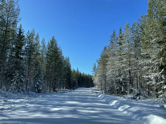 Verschneiter Weg zur Hütte