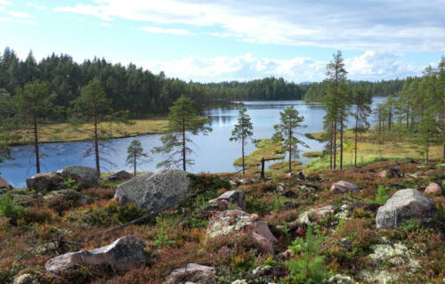 Blick auf den See